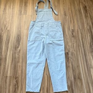Aerie Corduroy Overalls Work & Play Women's M Medium Blue Pockets Raw Hem Baggy